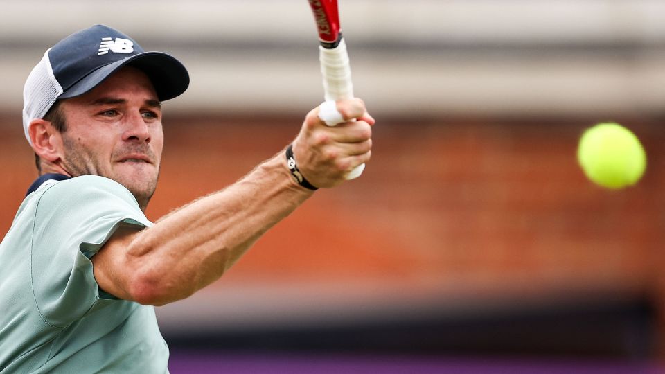 升起的新星 升起的新星